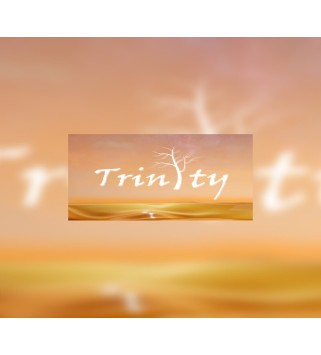 Trinity Steam Key GLOBAL
